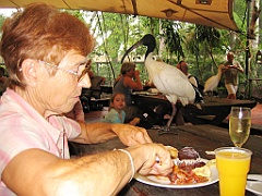 065 Port Douglas Wildlife Habitat